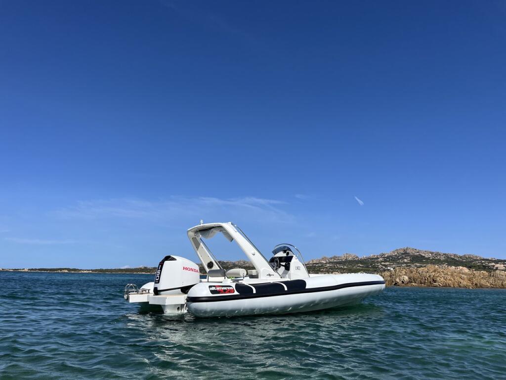 Altamarea Wave 23 Sport NN