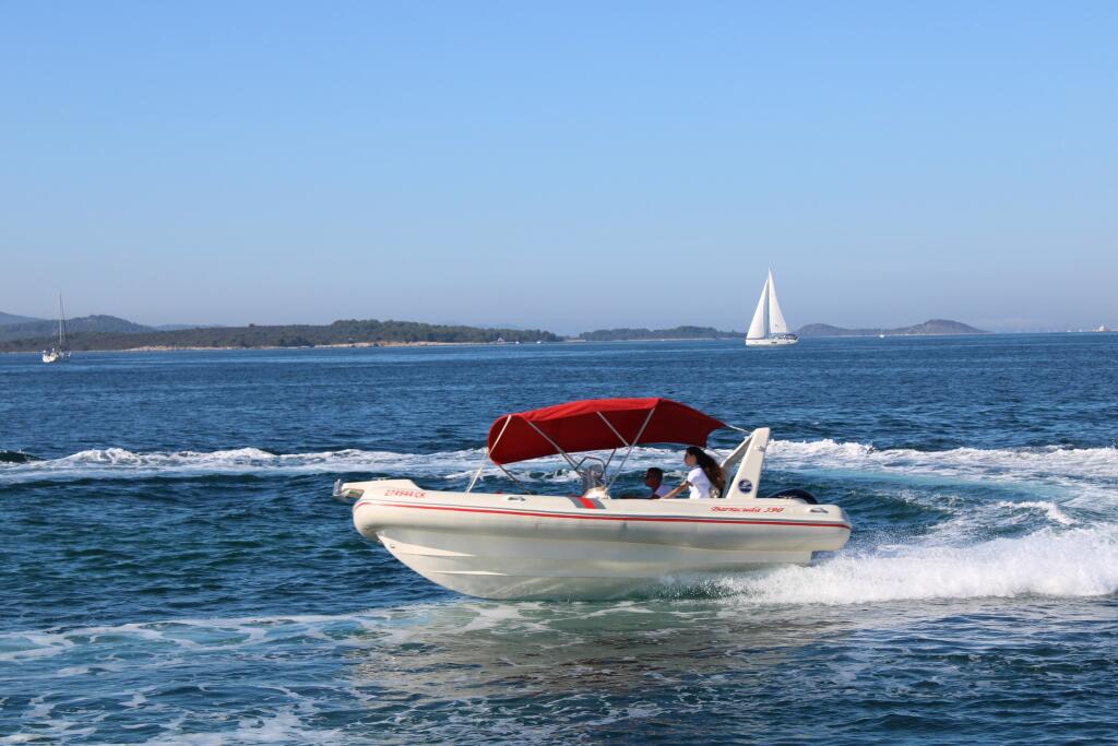 Barracuda 590 Barracuda 590 - 11