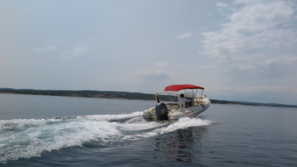 Barracuda 590 Barracuda 590 - 12