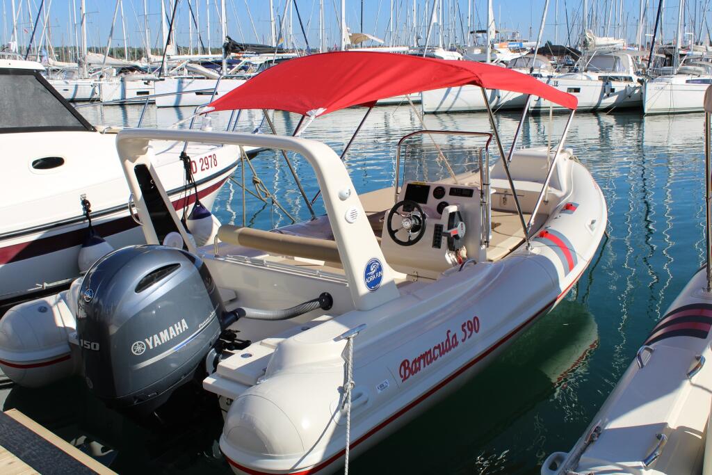 Barracuda 590 Barracuda 590 - 12