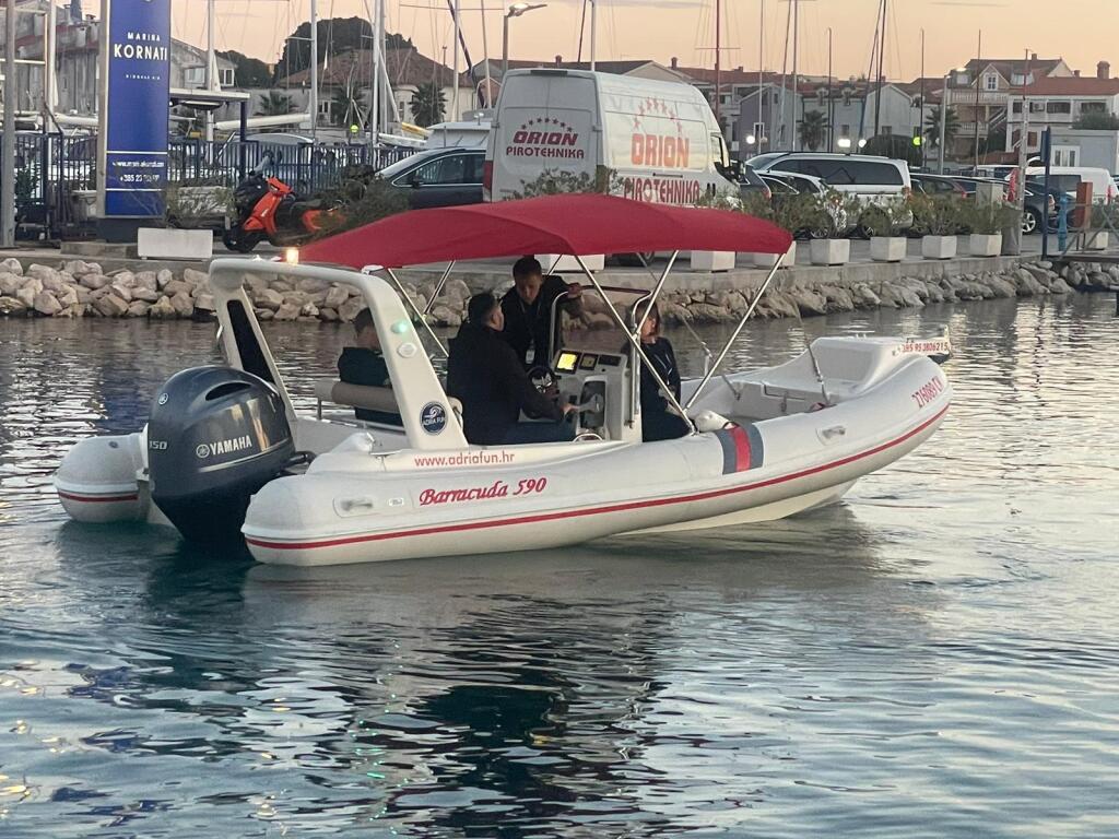 Barracuda 590 Barracuda 590 - 12