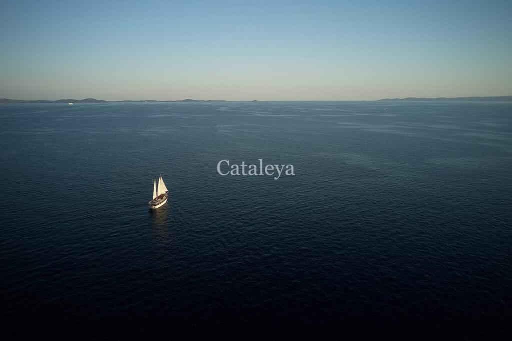 Cataleya Cataleya