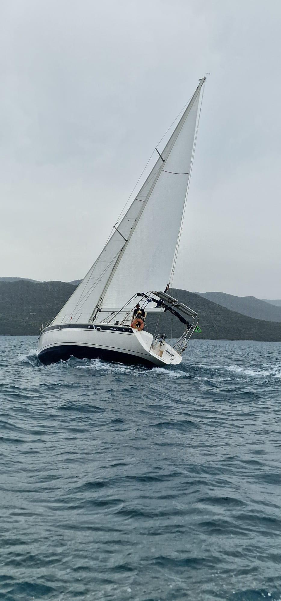 Elan 45 Maslina