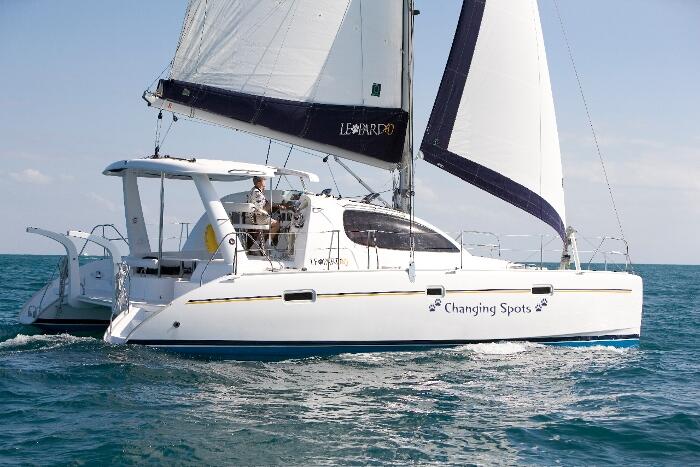 Leopard 40 Panda Joy