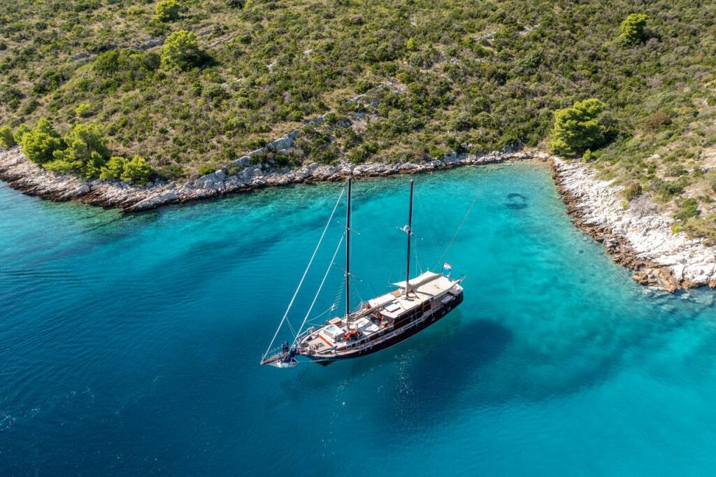 Pacha Pacha