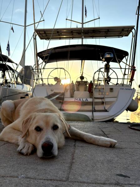 Sun Odyssey 45 Nala